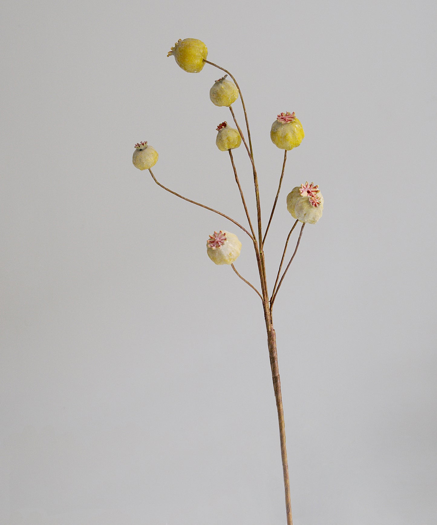 faux flower branch with poppy seed heads on a gray background
