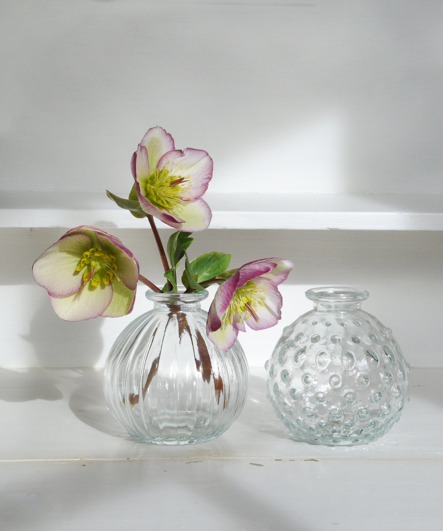 Round Bud Vase - Clear