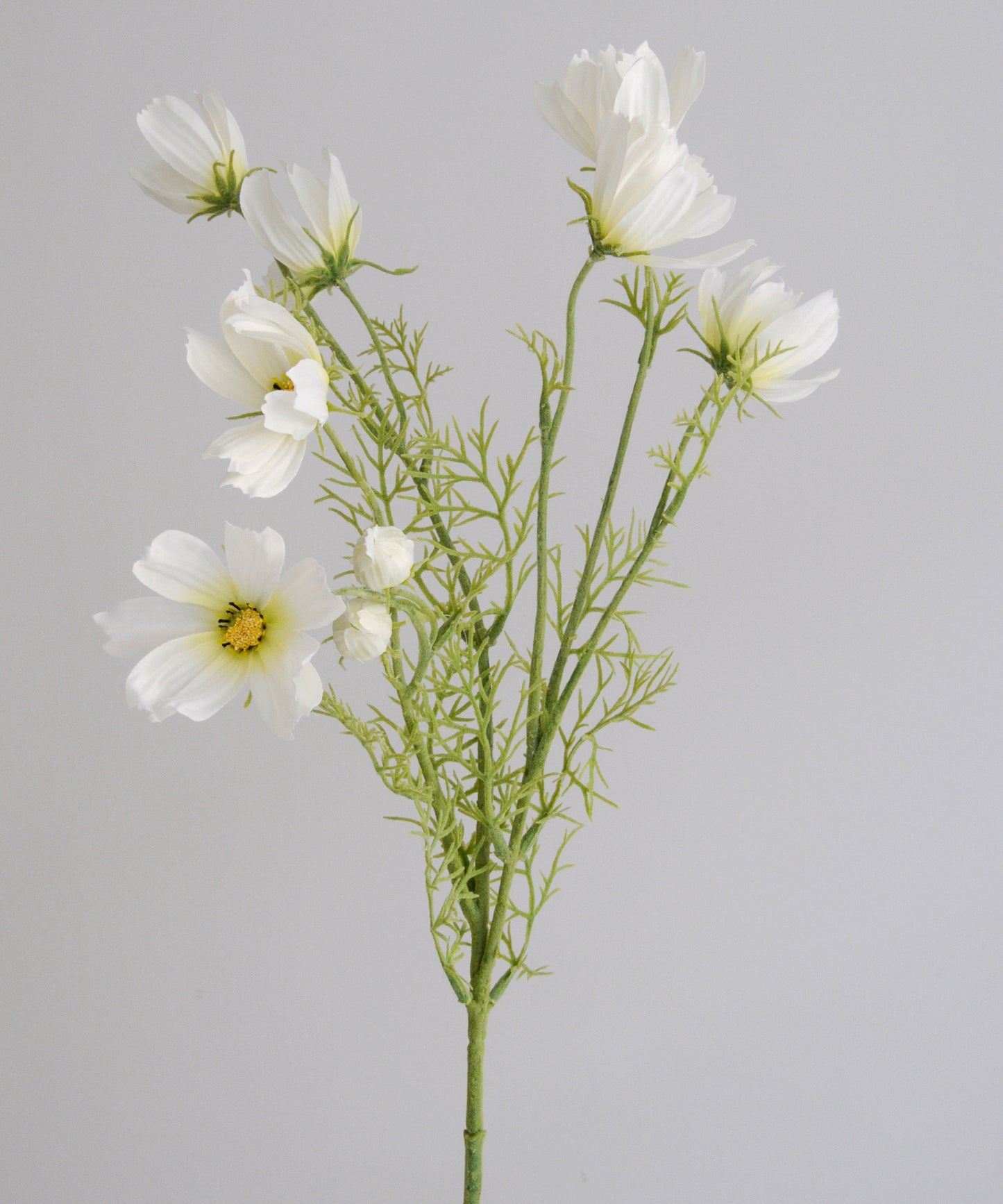 Faux White Cosmos Stem