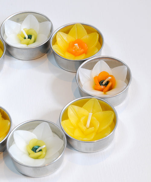 Daffodil - Scented Tea lights