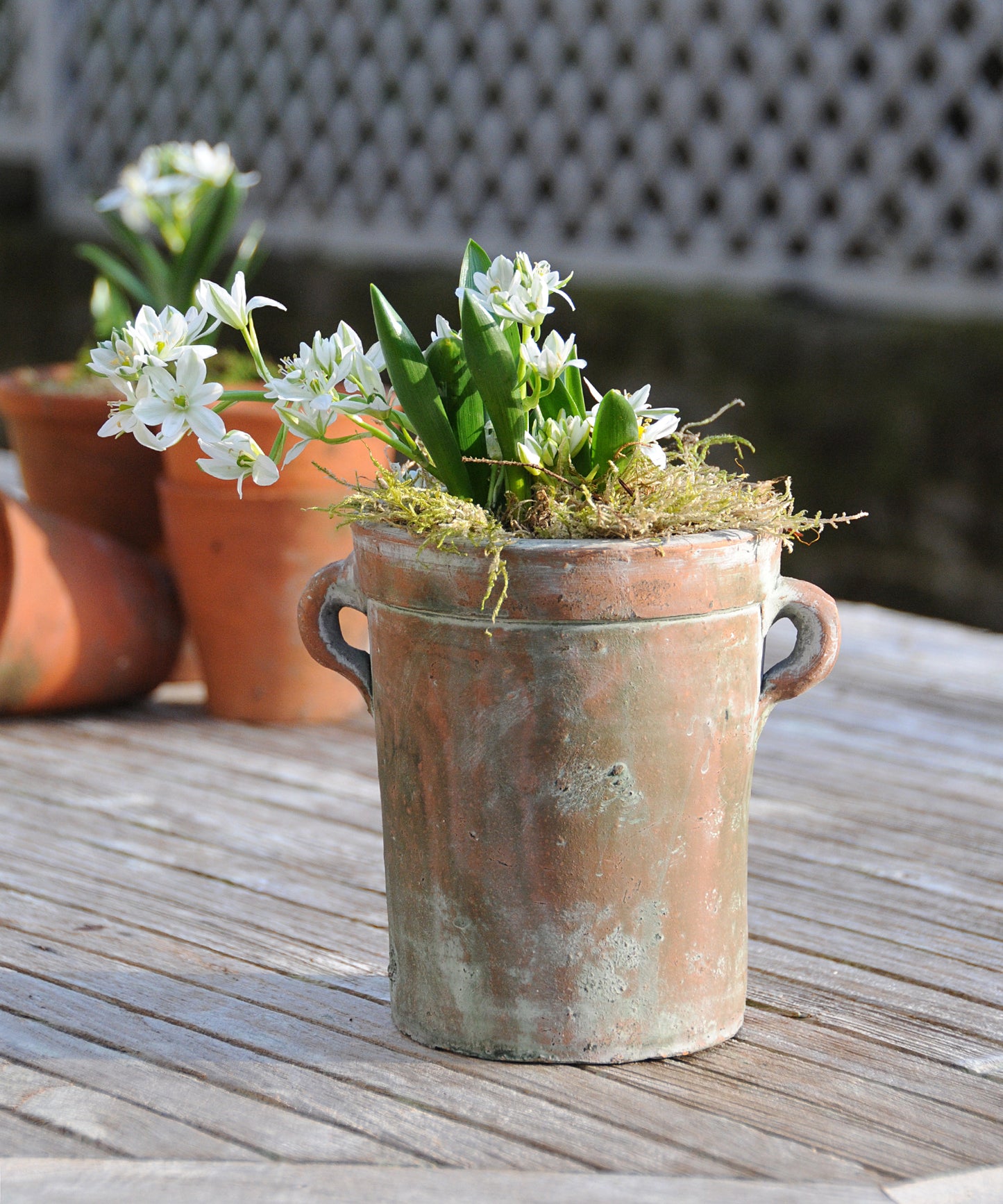 Vintage Style Pot with Handles