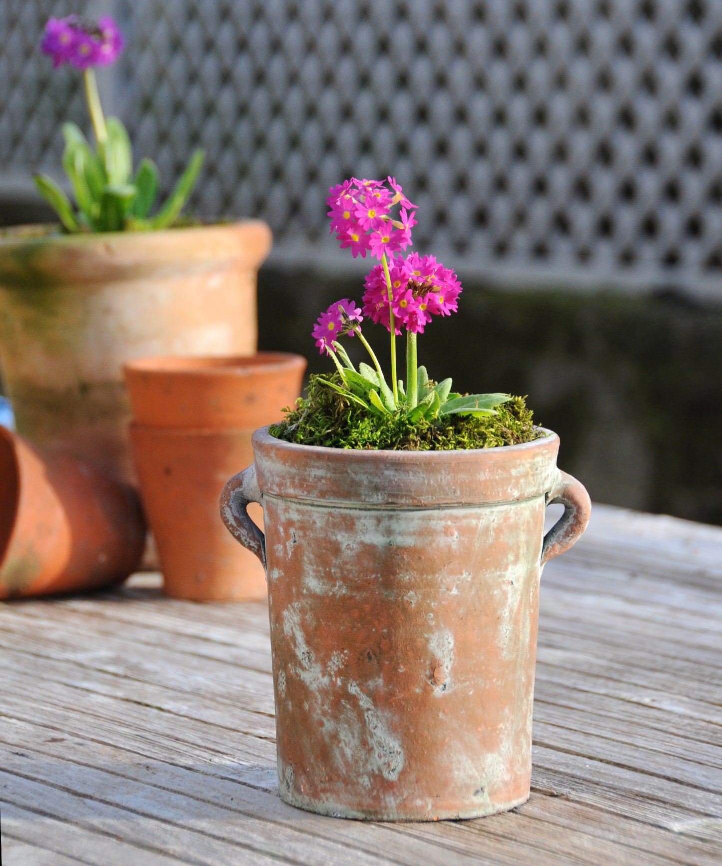 Vintage Style Pot with Handles