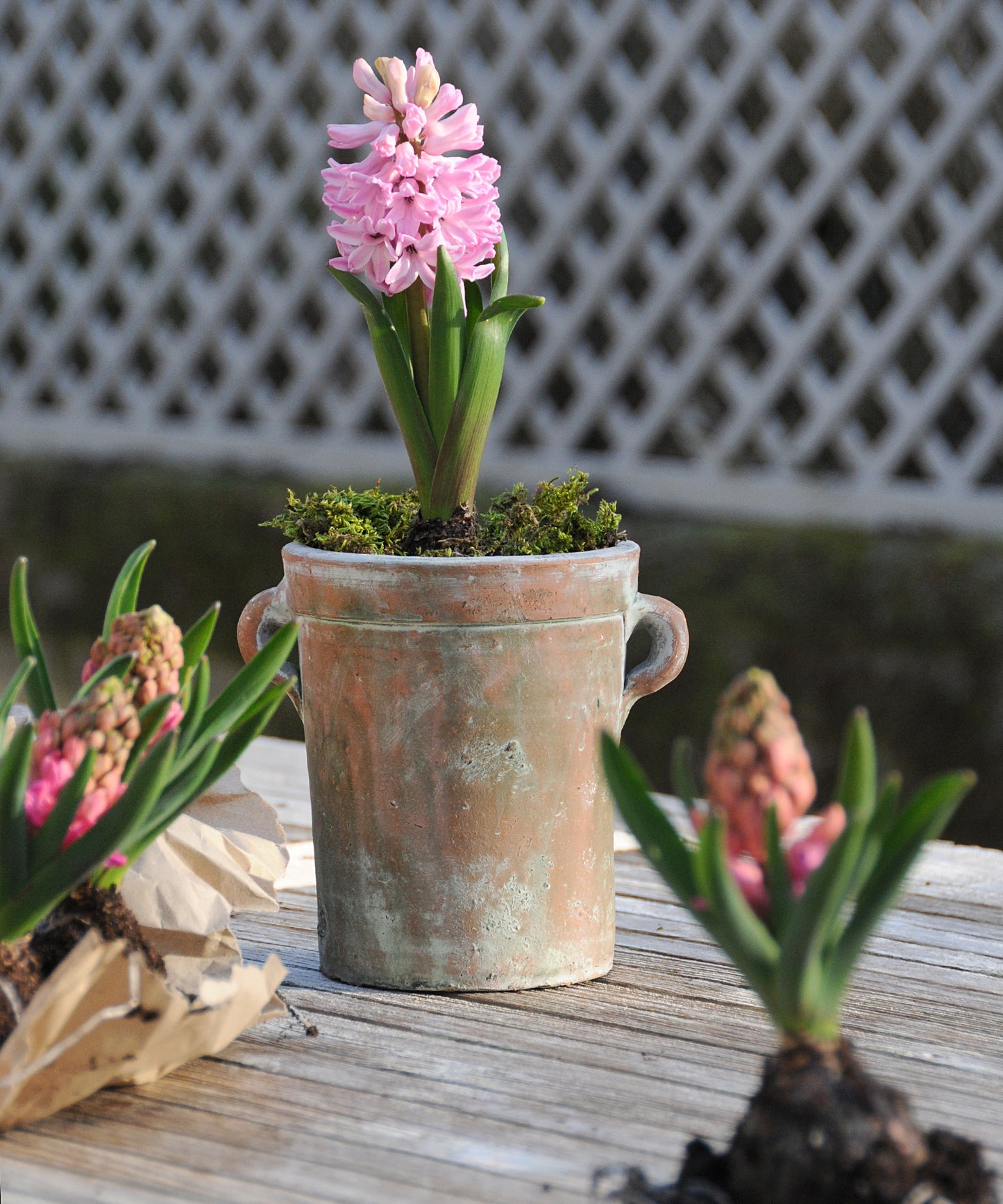 Vintage Style Pot with Handles