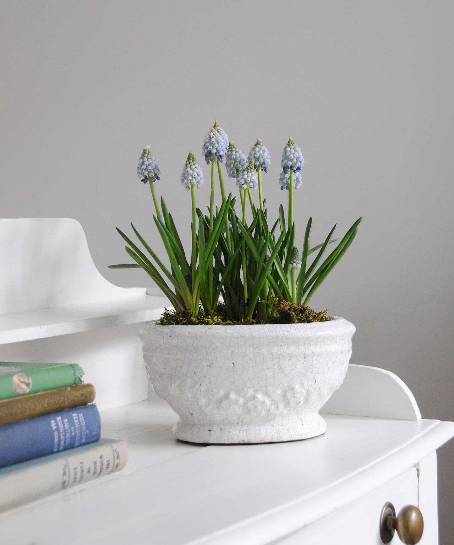 Merida glazed planter