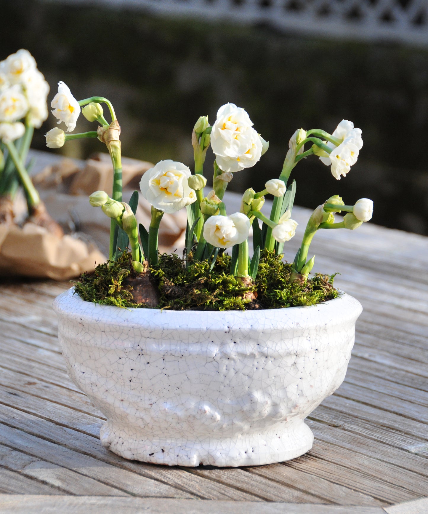 Merida glazed planter