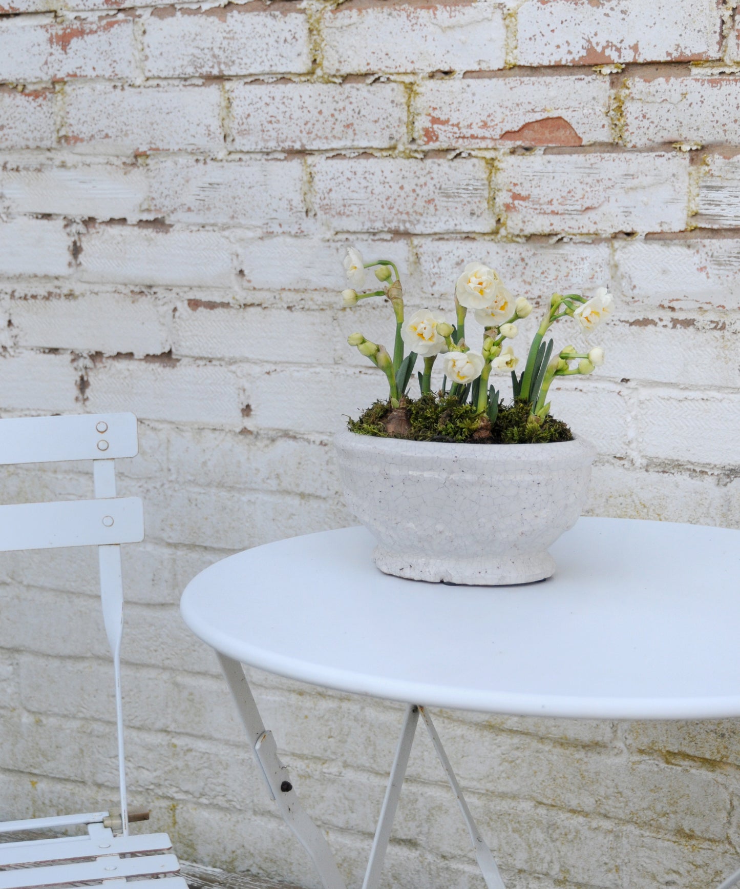 Merida glazed planter