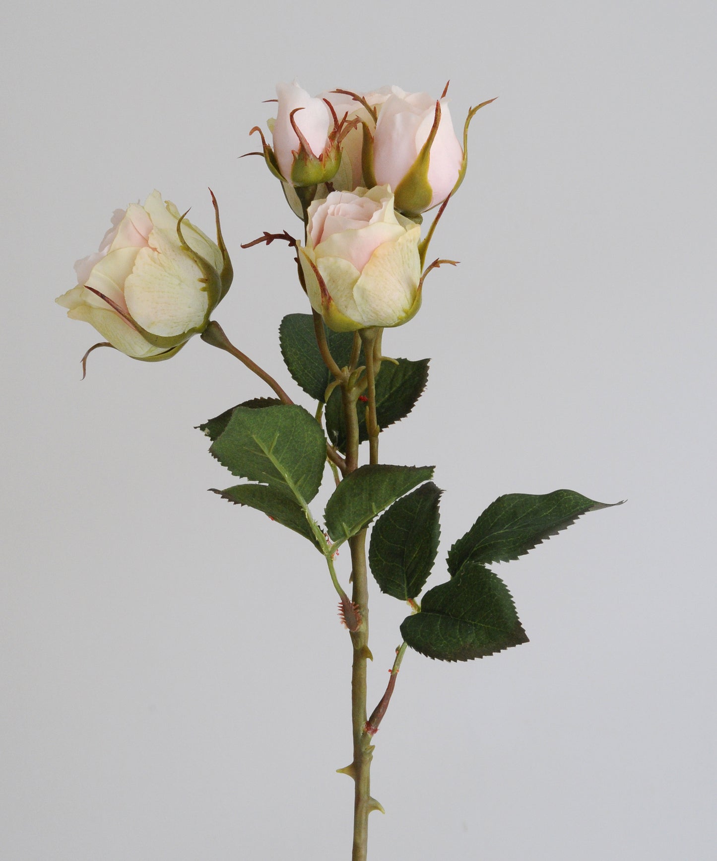 Soft Pink Rose Spray