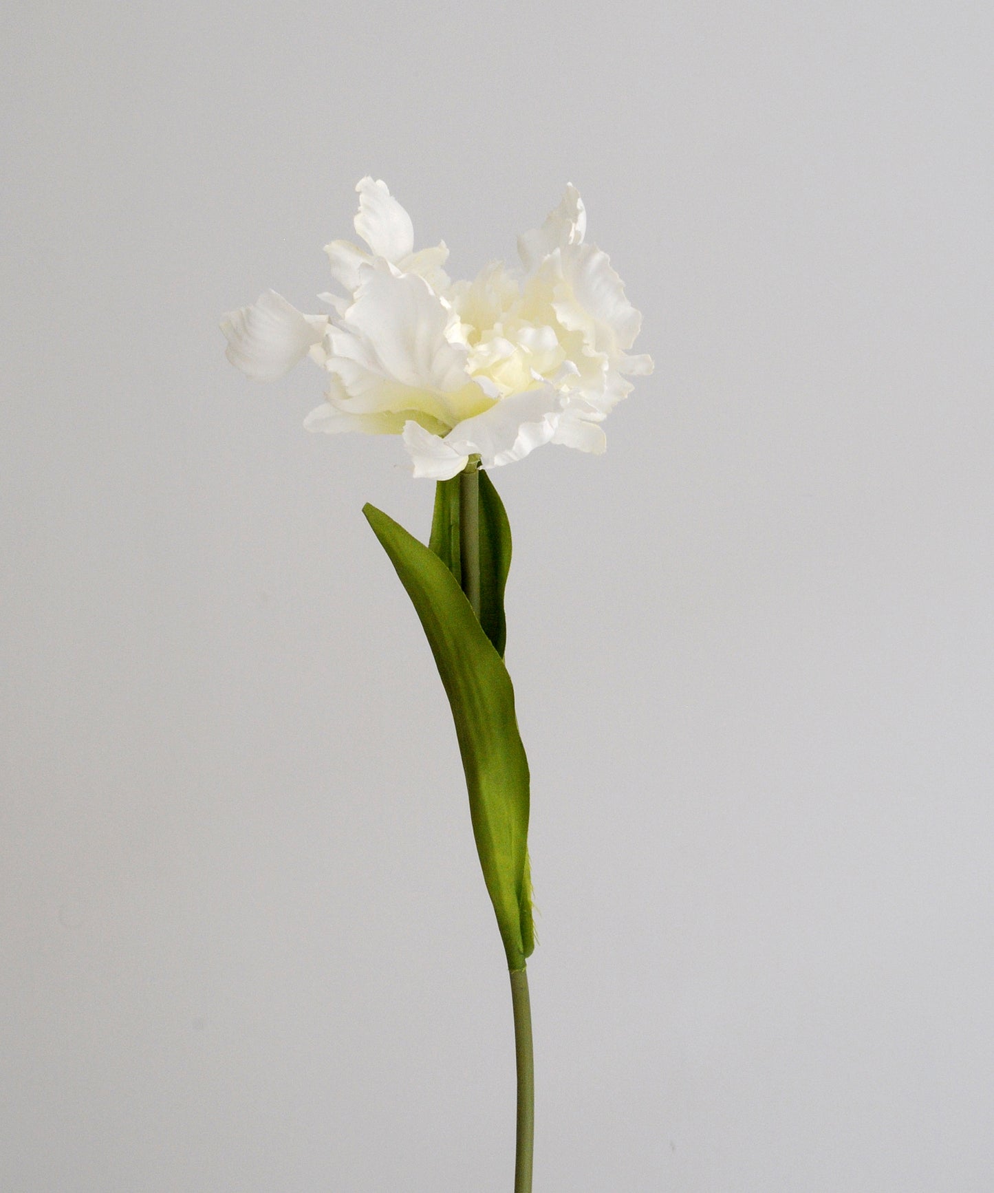 Artificial White Parrot Tulip Stem