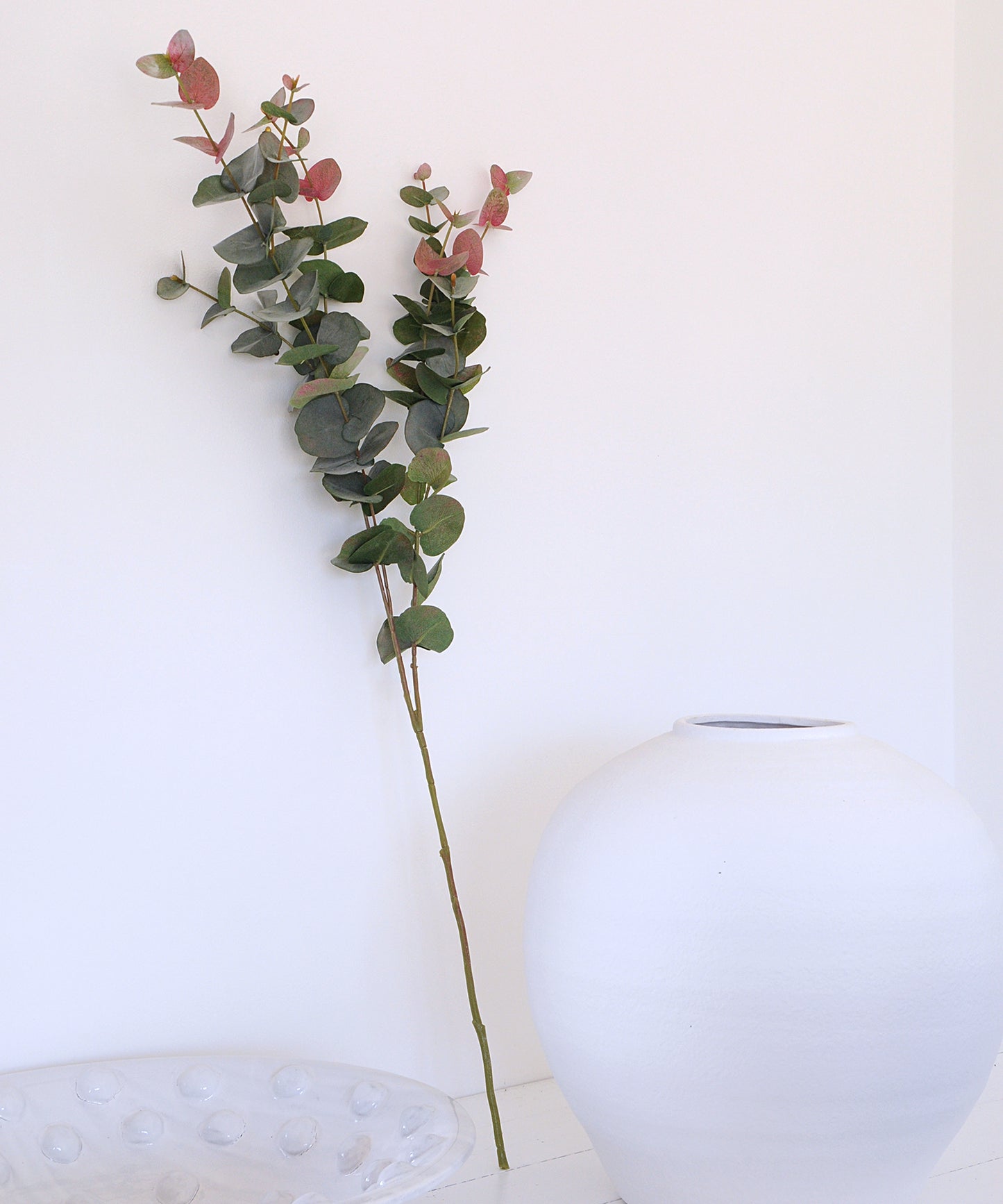 Eucalyptus Spray