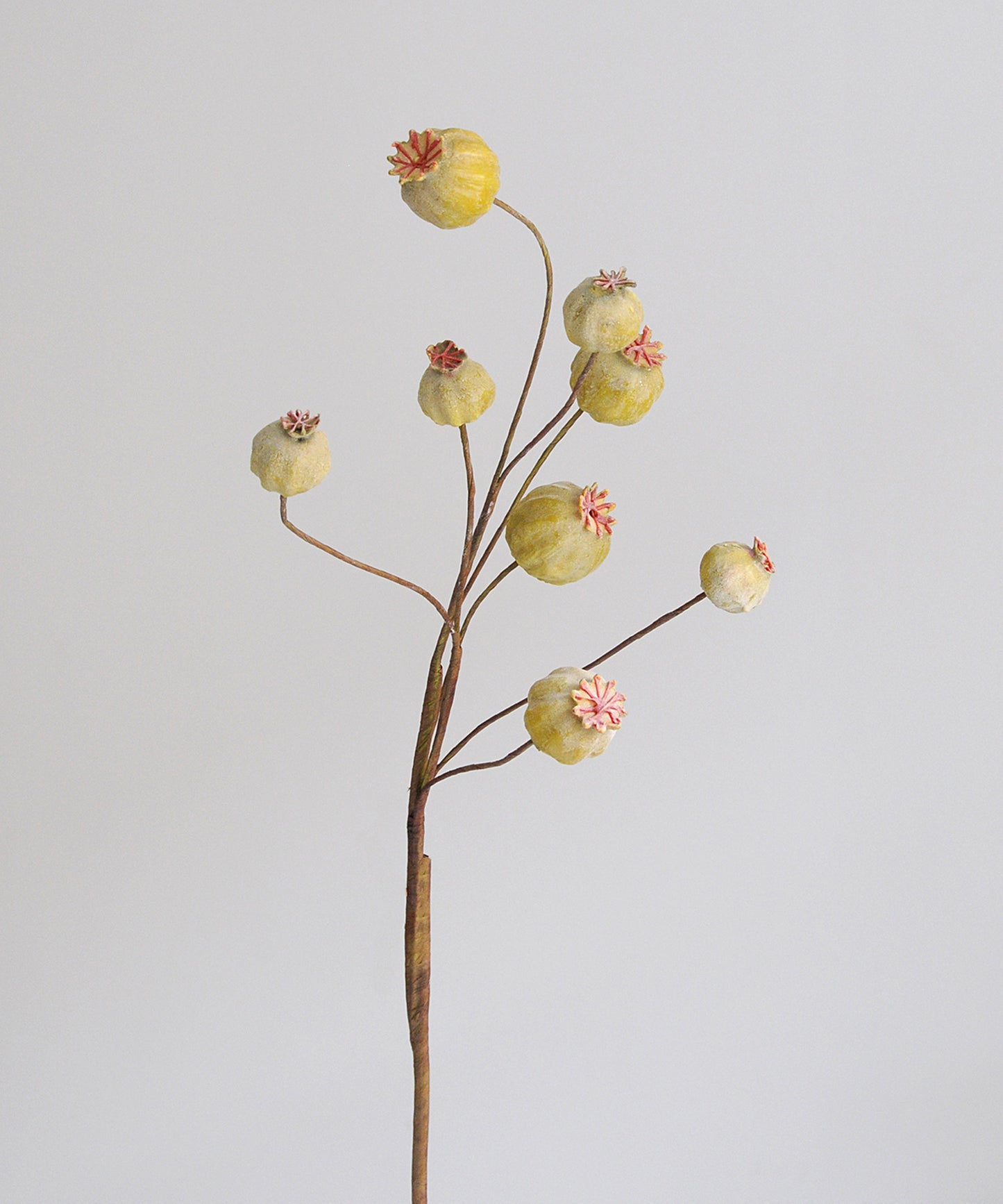 Artificial flower branch with poppy seed heads on a light gray background