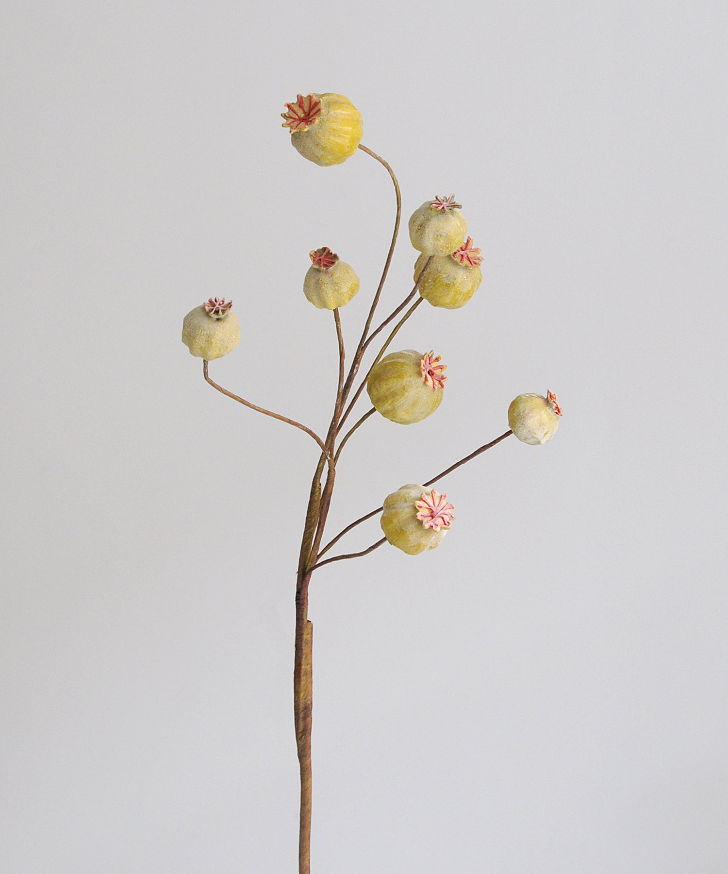 Artificial flower branch with poppy seed heads on a light gray background