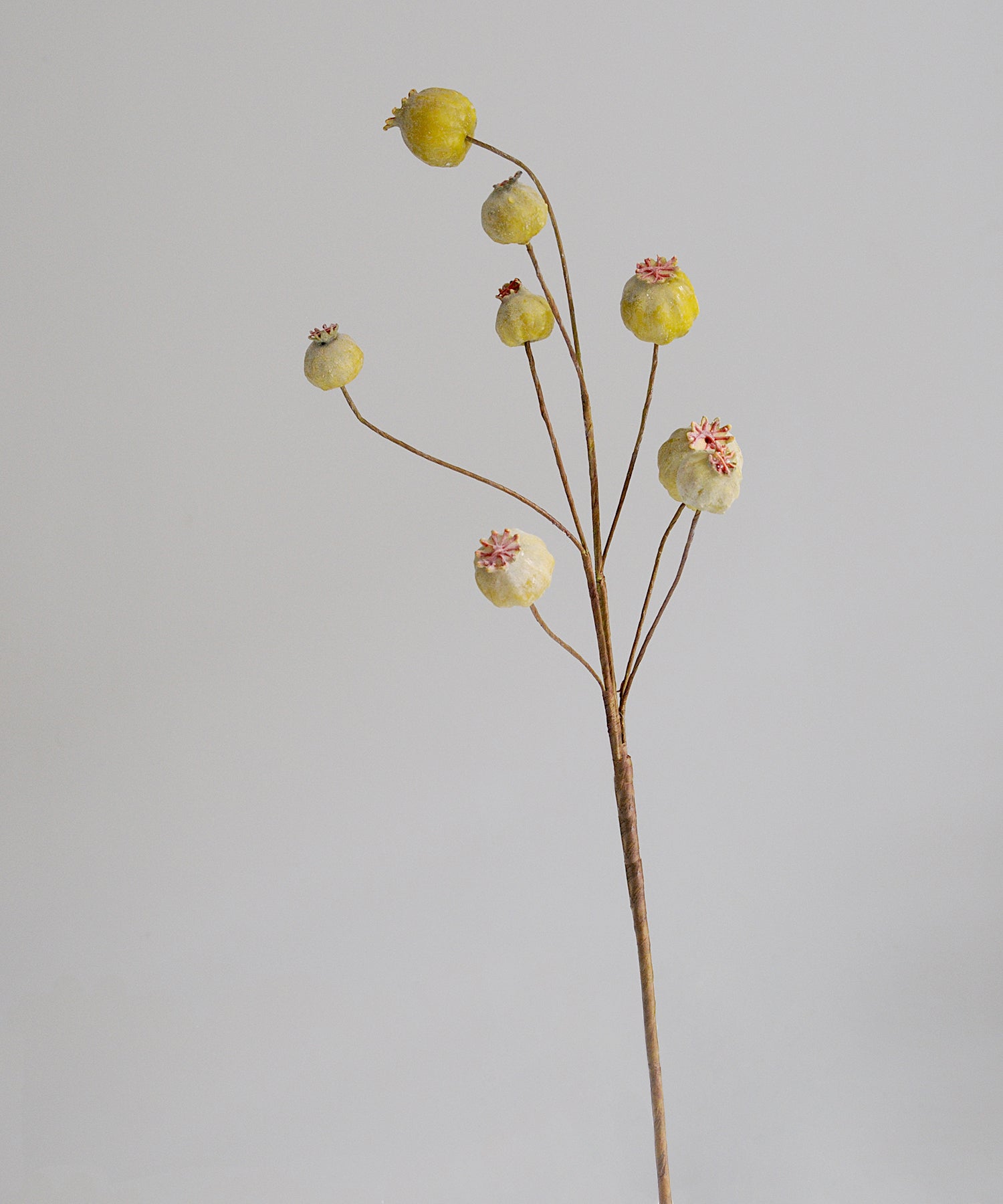 faux flower branch with poppy seed heads  on a gray background