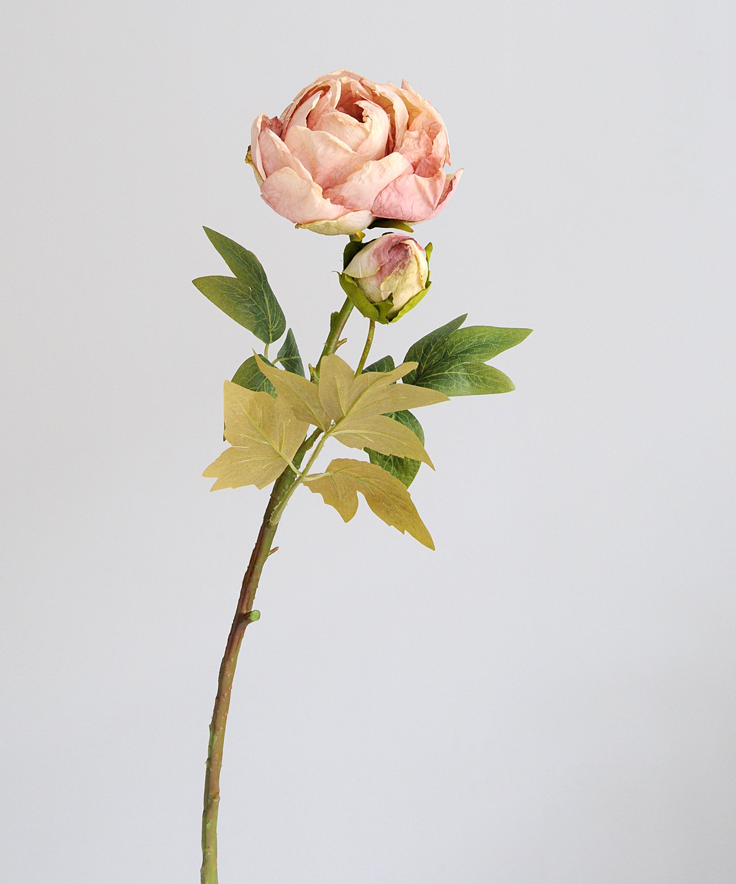 Artificial pink peony with green leaves on a light gray background