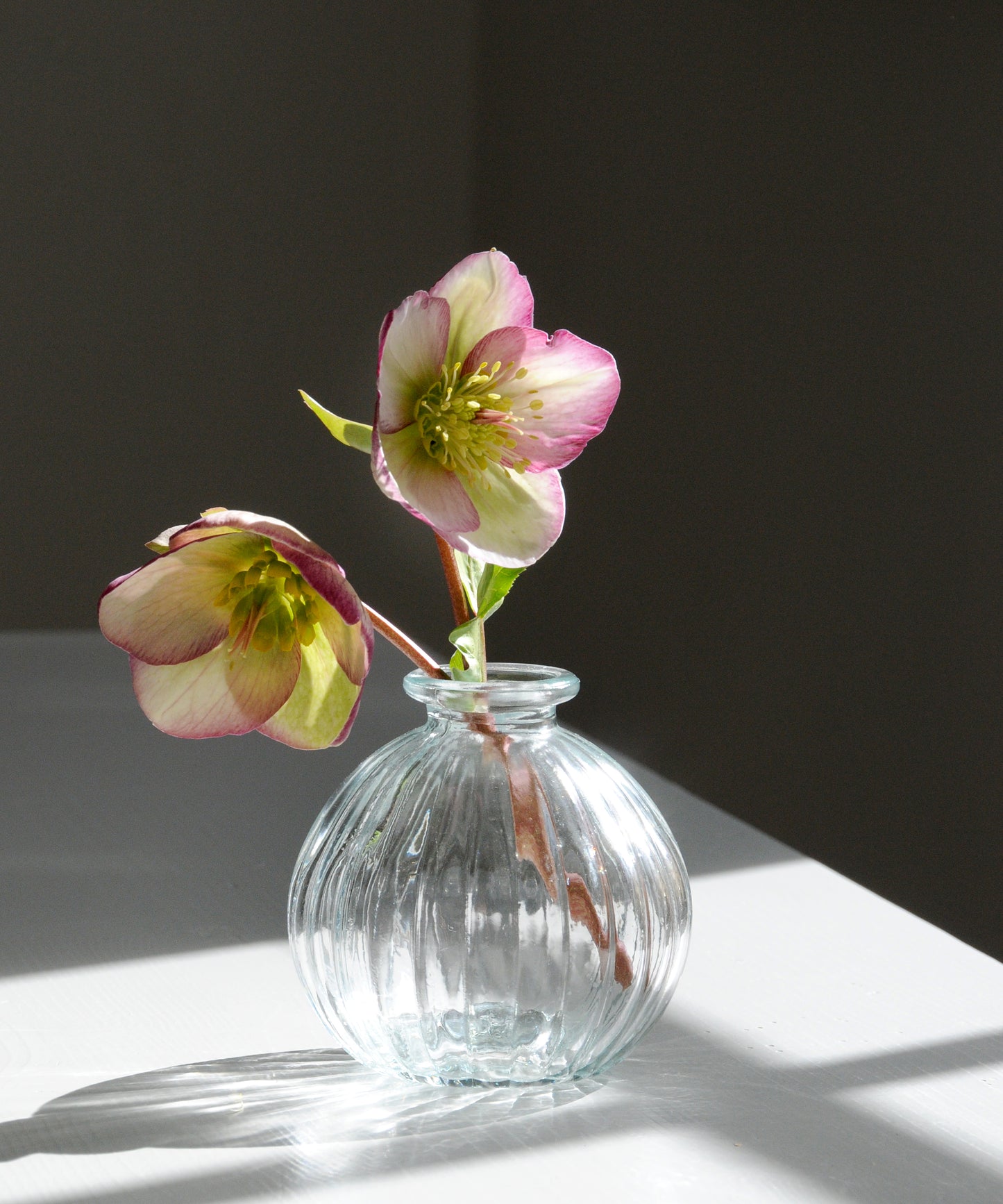 Round Bud Vase - Clear
