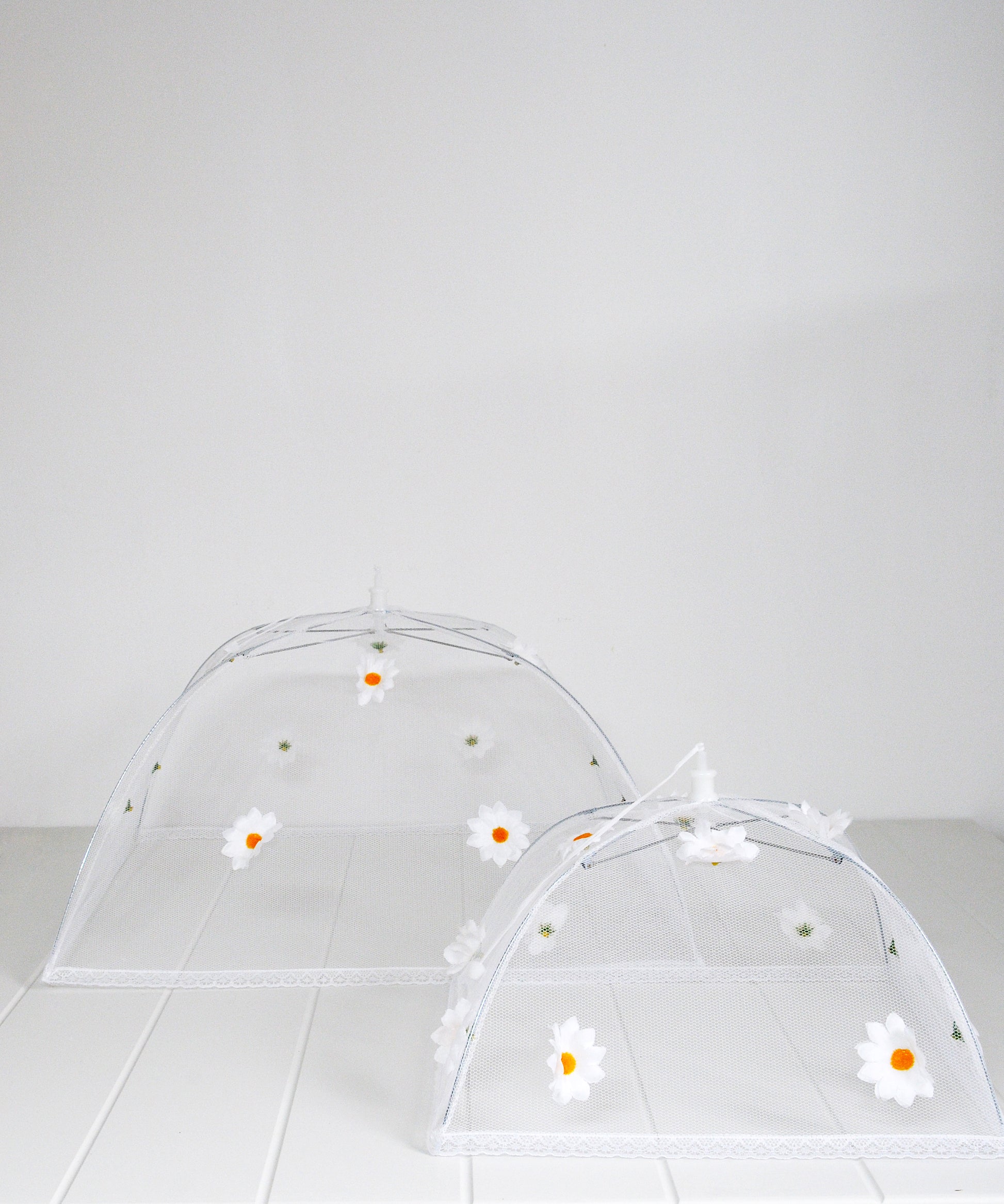 daisy food umbrella