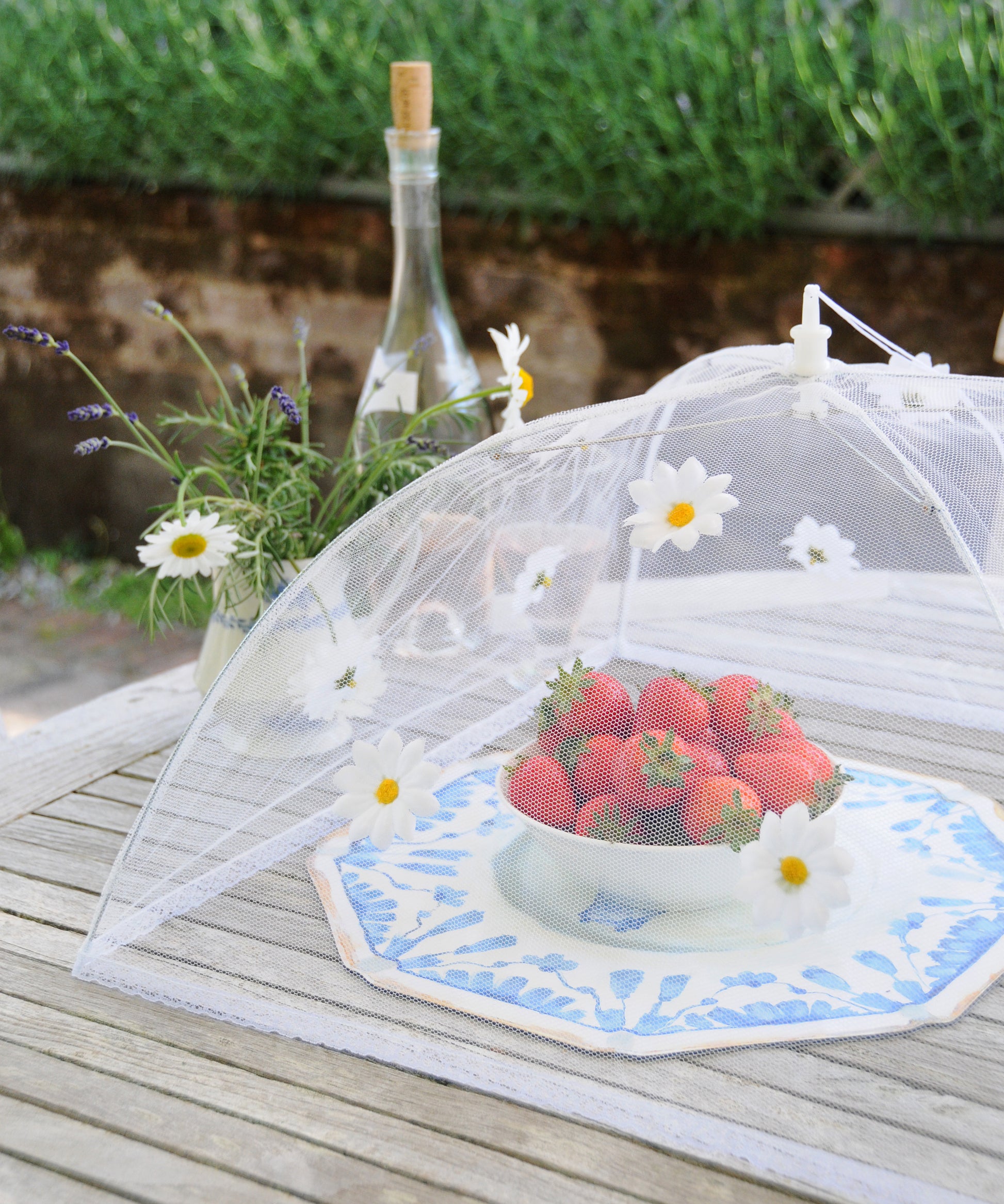 daisy food umbrella