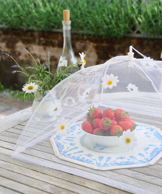 daisy food umbrella