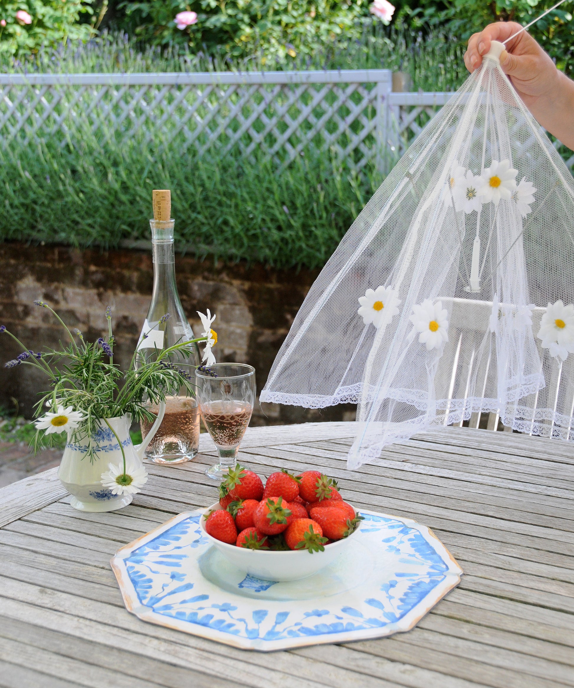 daisy food umbrella