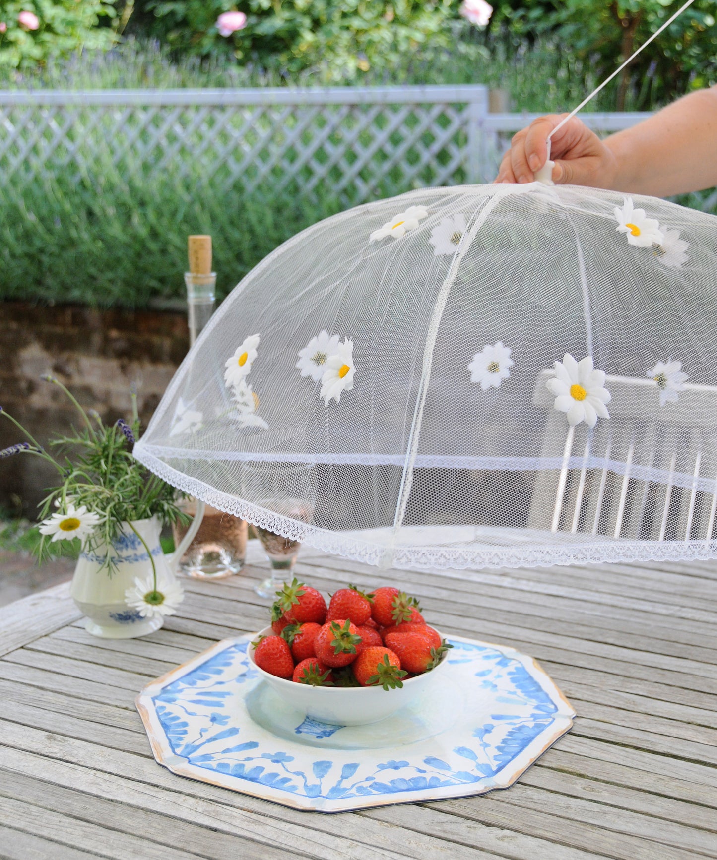 daisy food umbrella