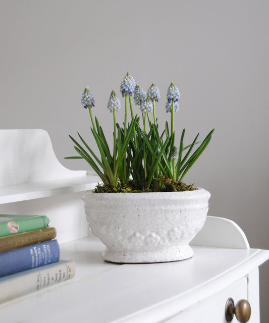 Merida glazed planter