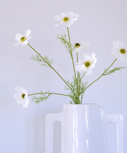 white cosmos stem