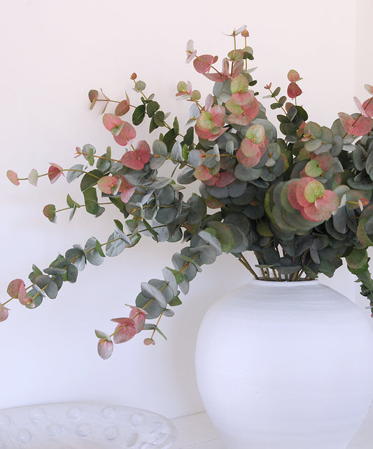 Eucalyptus spray